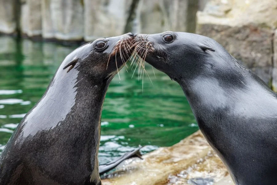Photo: Zoo Praha
