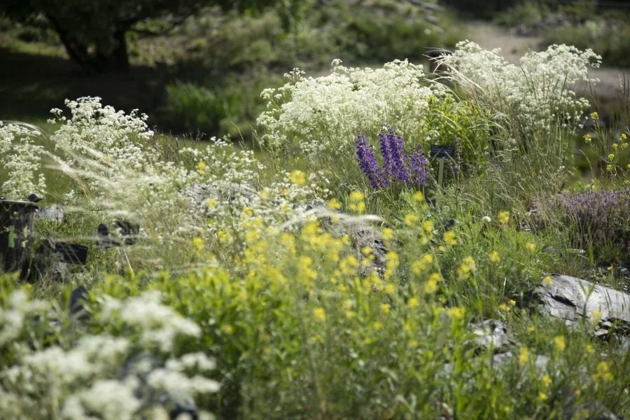 Photo: Botanical Garden Prague