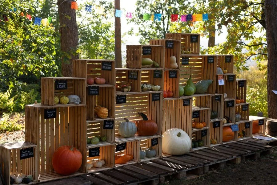 Photo: Botanická zahrada Praha