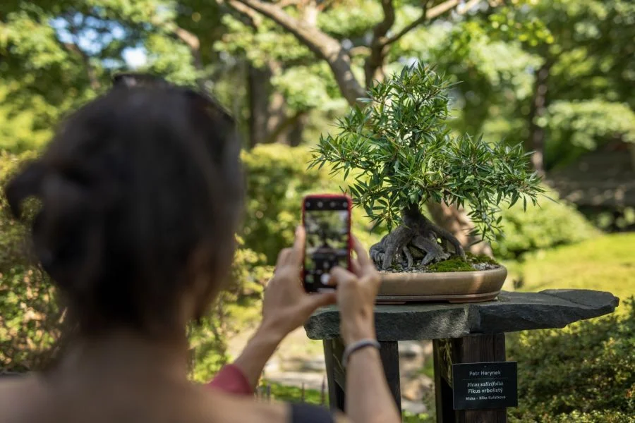Foto: Botanická zahrada Praha