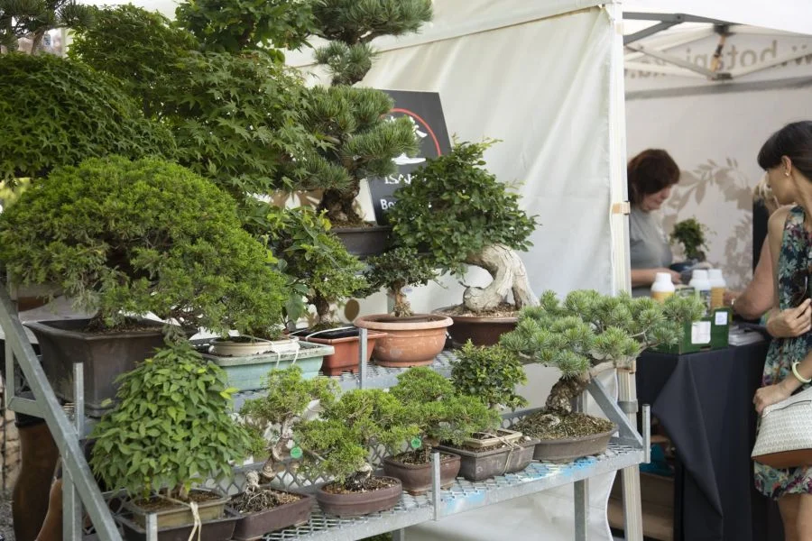 Foto: Botanická zahrada Praha