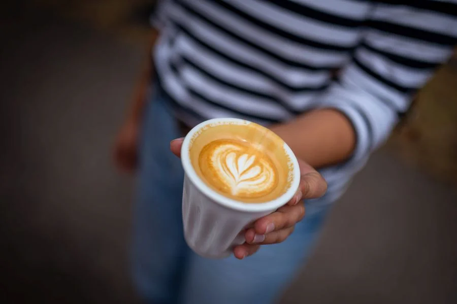 Foto de : FRESH Festival