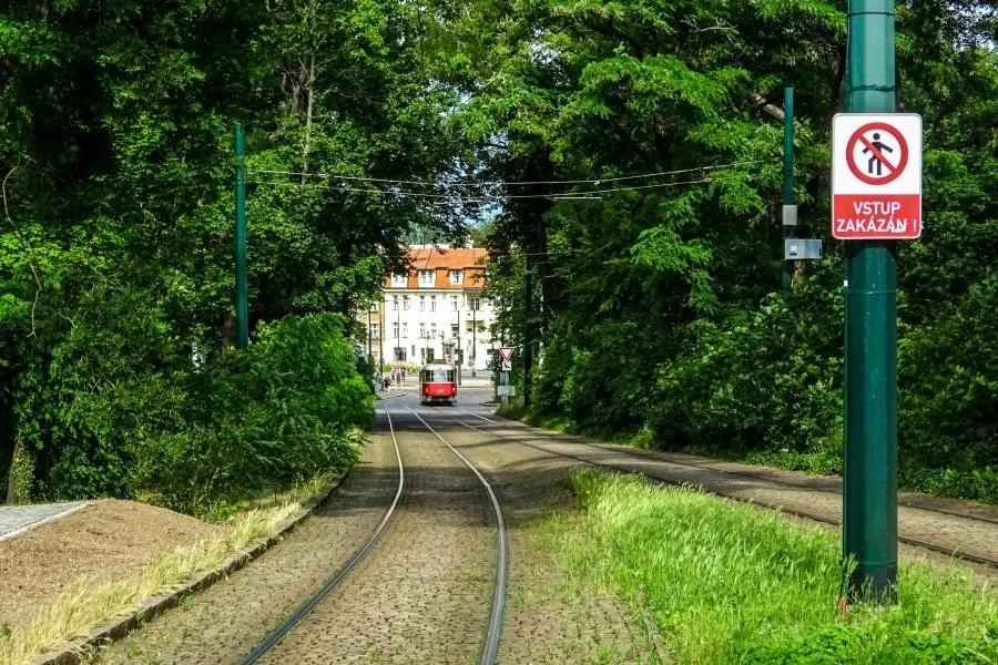 Foto: Nikolai Kolosov | Pexels