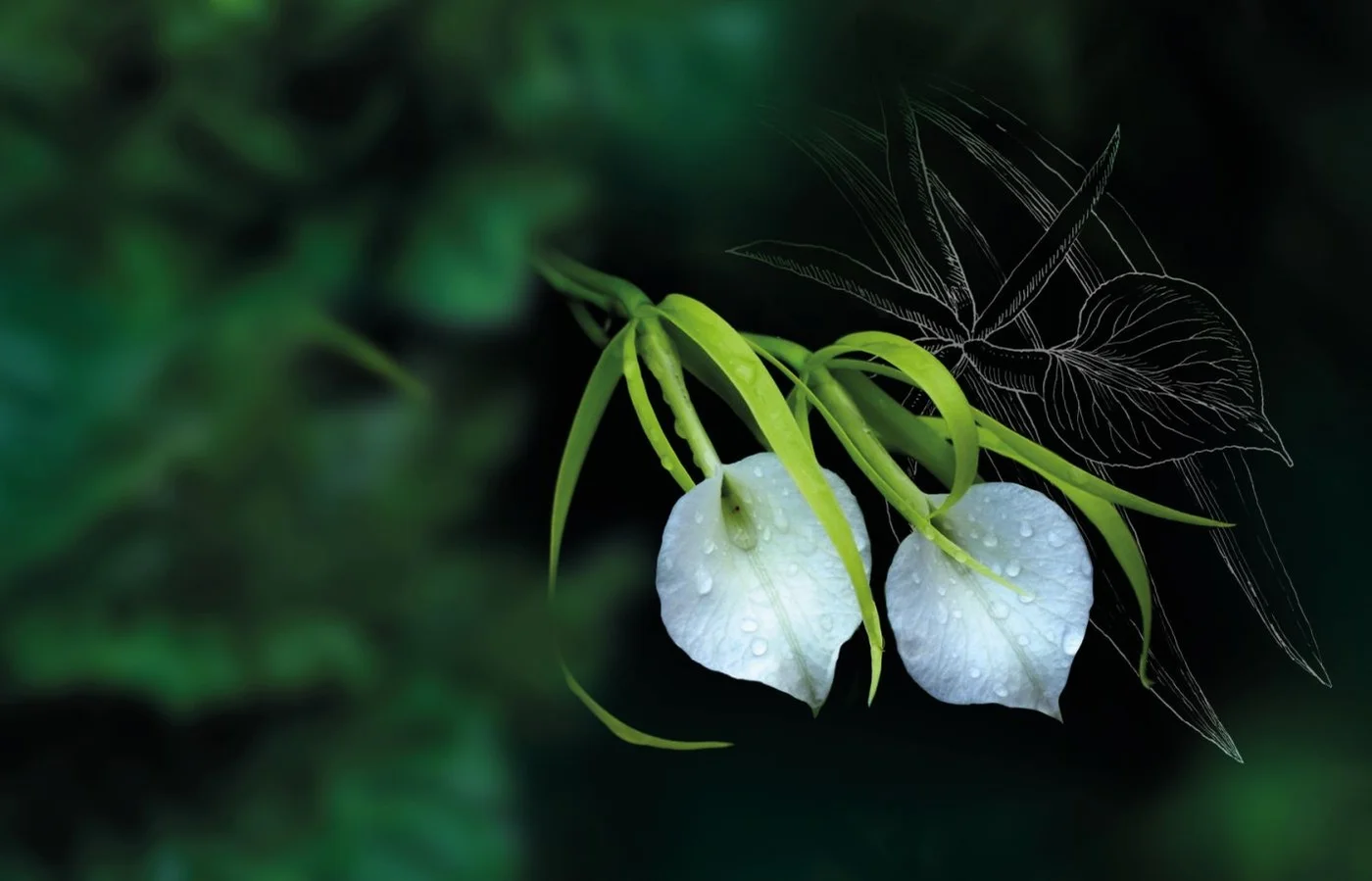 Foto: Botanická zahrada Praha