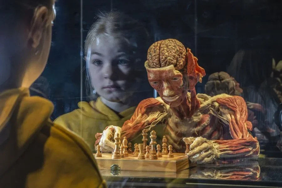 BODY WORLDS opens on Friday at the Westfield Chodov shopping centre in Prague