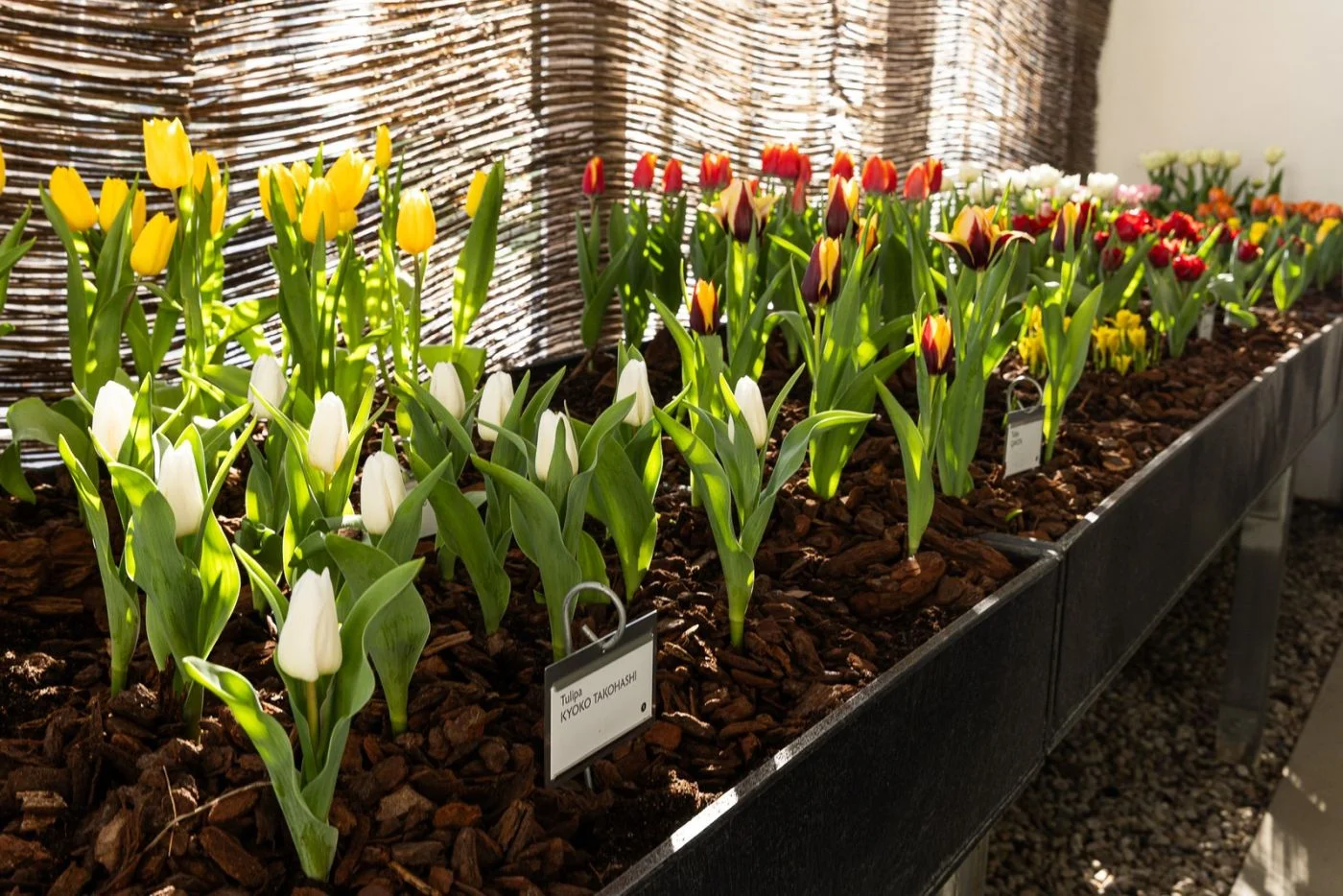 Foto: Pražský hrad