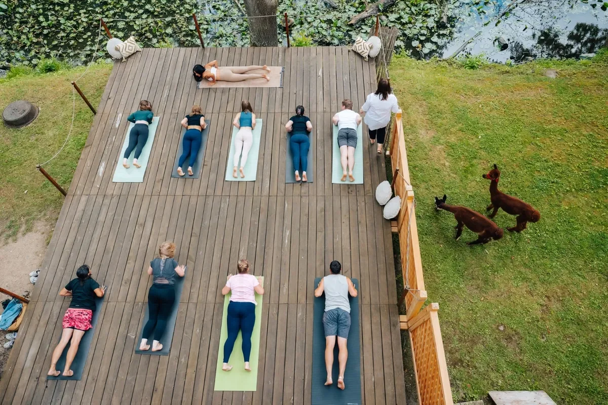 Castle Blatna Presents: A Unique Yoga Experience with Alpacas, Brunch, and Serenity
