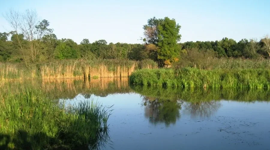 Czech Government Declares Soutok Landscape Protection Area