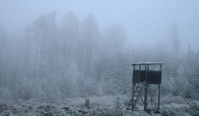 Czech Republic in the grip of a cold spell: frost until Thursday, then milder weather
