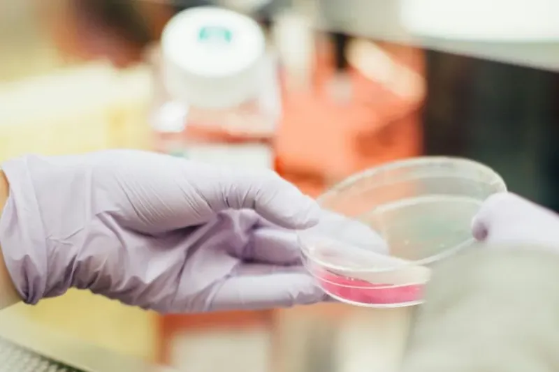 Despite Billions in Funding: Czech Research Lags Behind in Europe