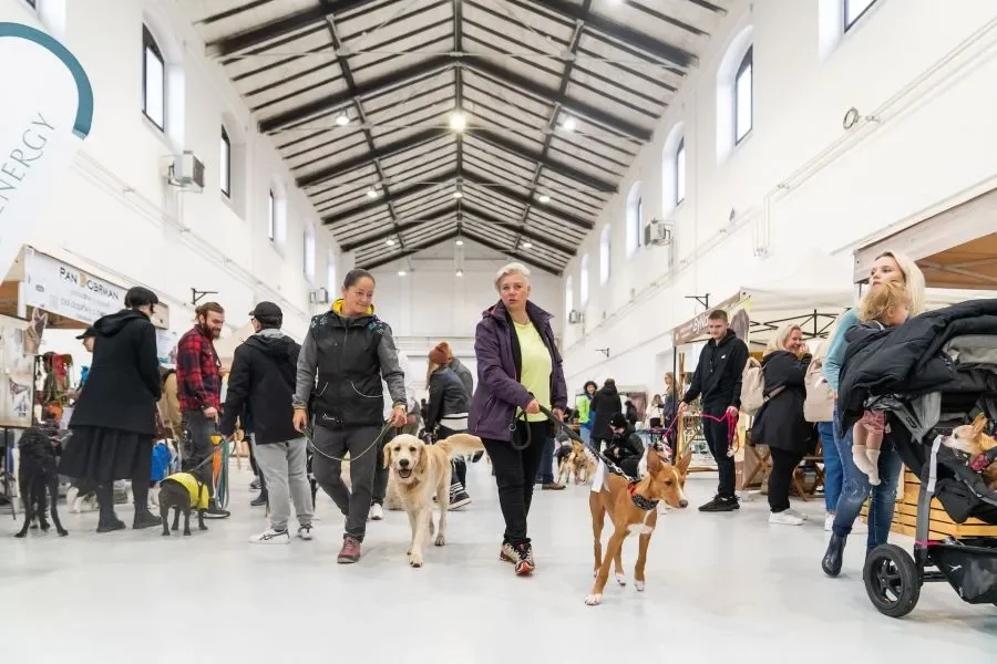 Dogs & Friends Dog Festival: Autumn Edition at Holešovická Tržnice