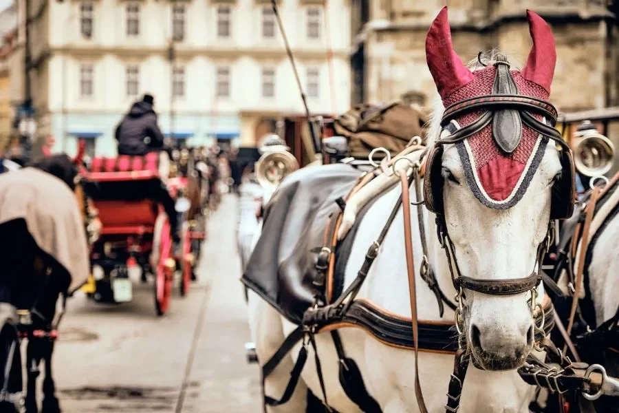 End of a Tradition: Prague Ends Horse-Drawn Carriage Rides in the Old Town
