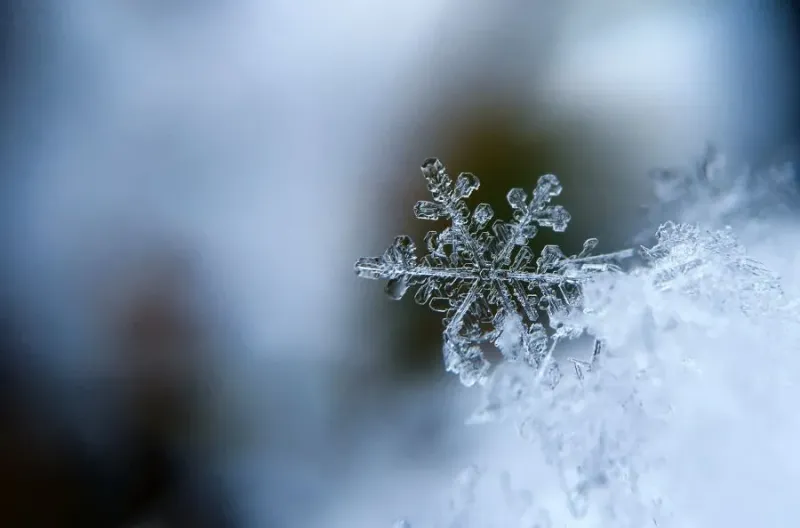 First Snow of the Year: Winter Hits Czech Mountains