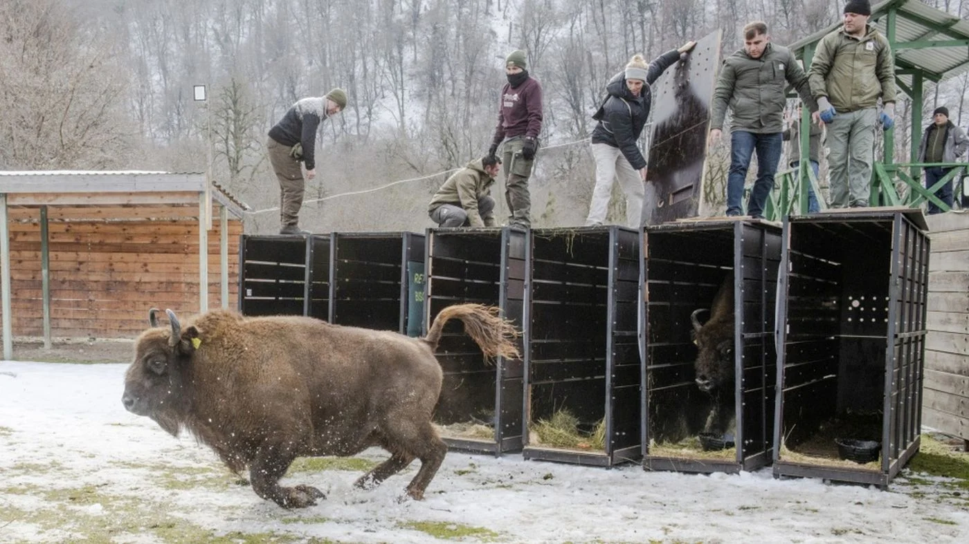 Foto: Emil Khalilov | WWF