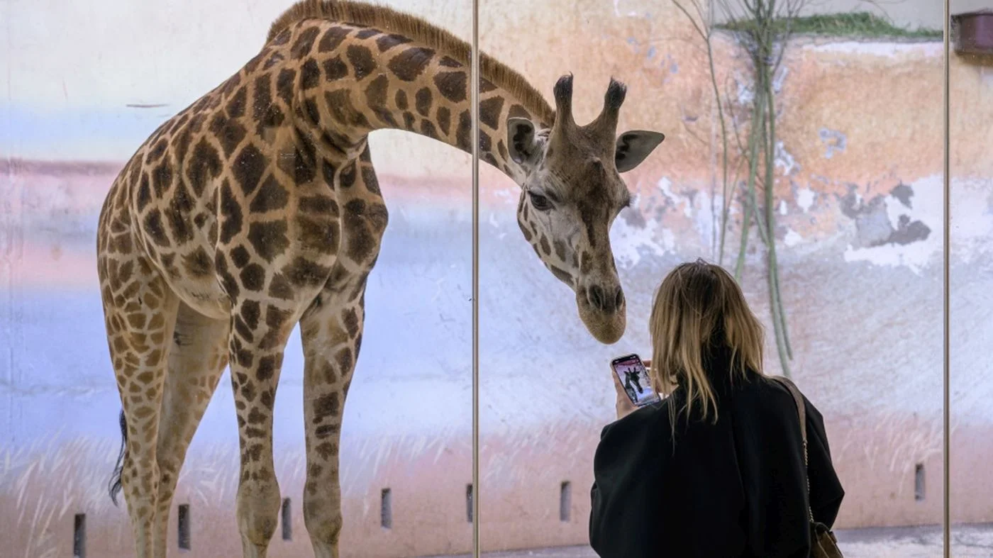 Foto: Zoo Praha | Petr Hamerník