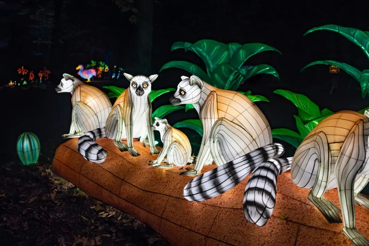 Garden of Lights – Wild Africa: A luminous premiere at Prague Zoo