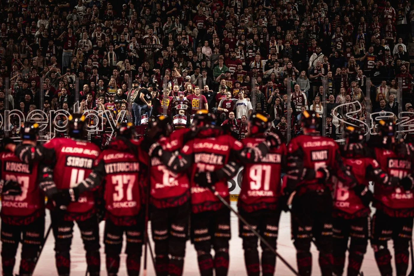 Foto: HC Sparta Praha