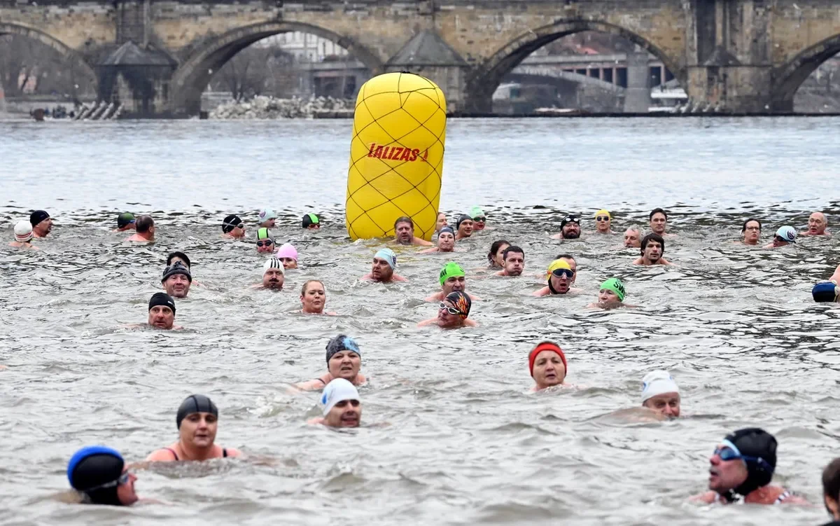 Ice Swimming in Prague: Memoriál Alfreda Nikodéma 2024