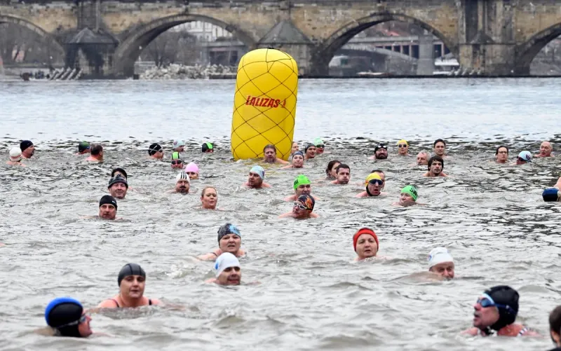 Ice Swimming in Prague: Memoriál Alfreda Nikodéma 2024