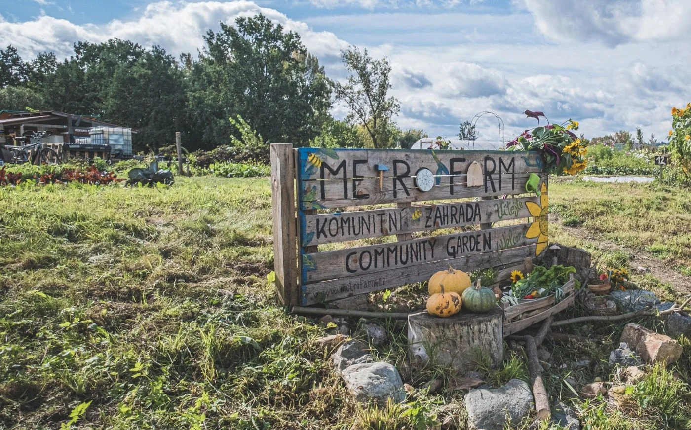 Foto: Komunitní zahrada MetroFarm