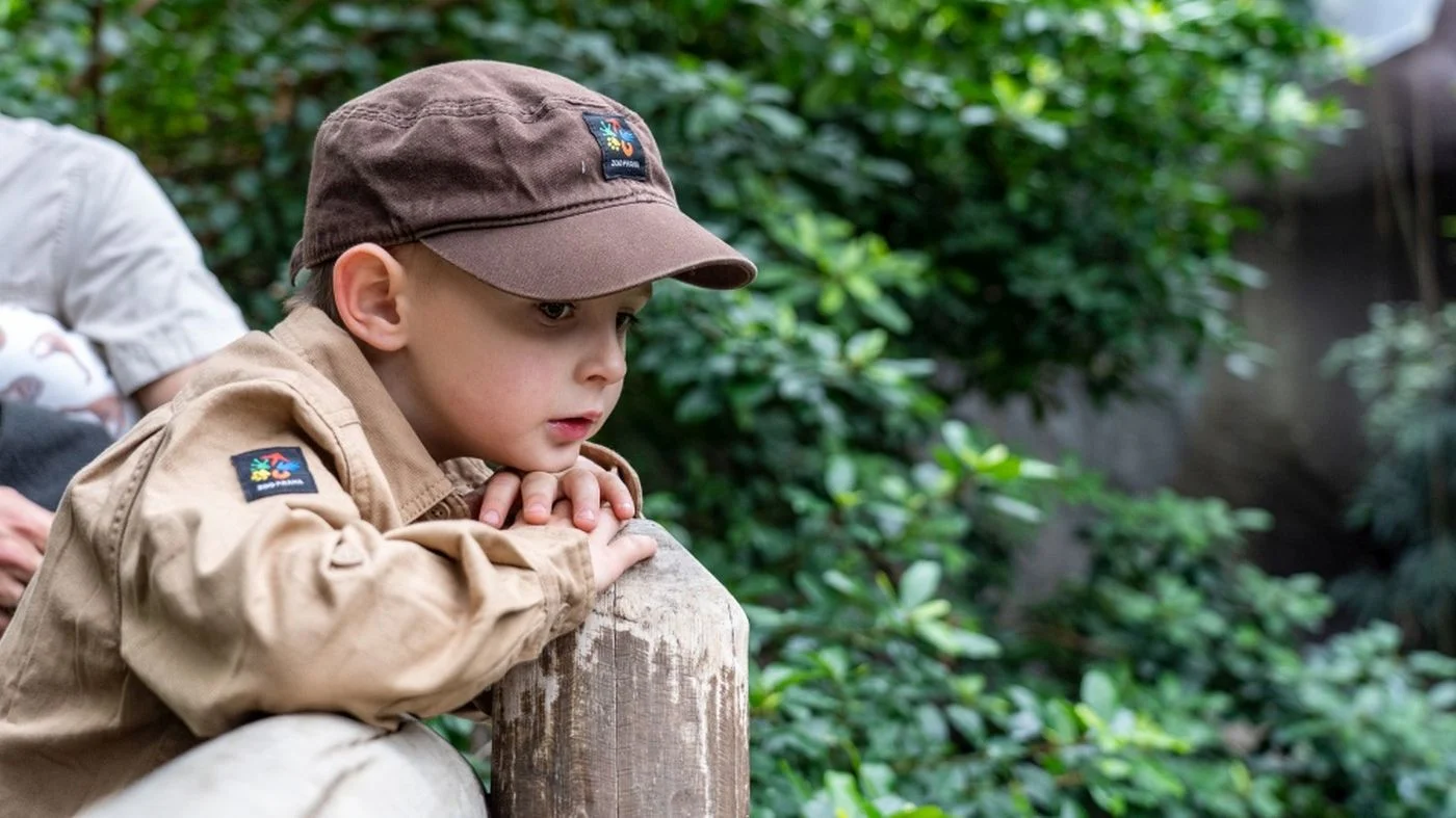 LEGO Action Day at Prague Zoo: Children in Panda or Zoologist Costumes Receive Free Admission