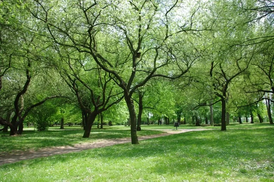 Letná Park’s Northern Section Set for Renovation, Completion Planned by July