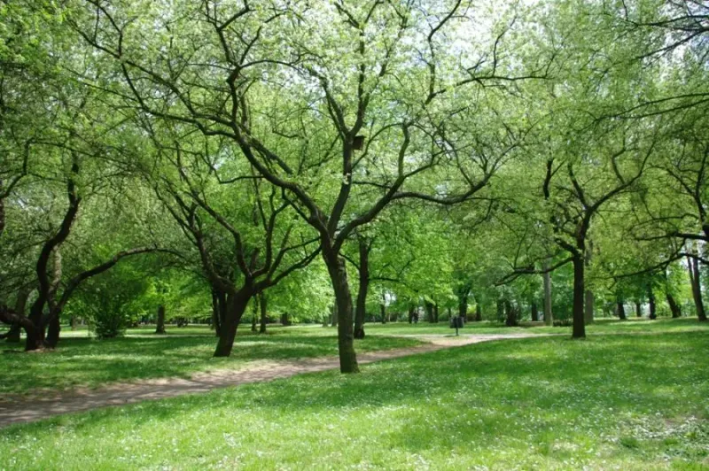 Letná Park’s Northern Section Set for Renovation, Completion Planned by July