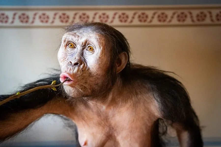 Lucy and Selam: The Oldest Human Ancestors to Visit Prague in August