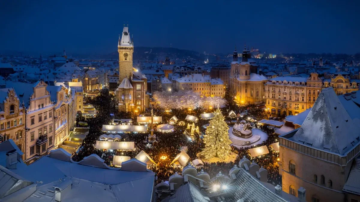 Majestic Tree from Krompach to Illuminate Prague’s Christmas Market
