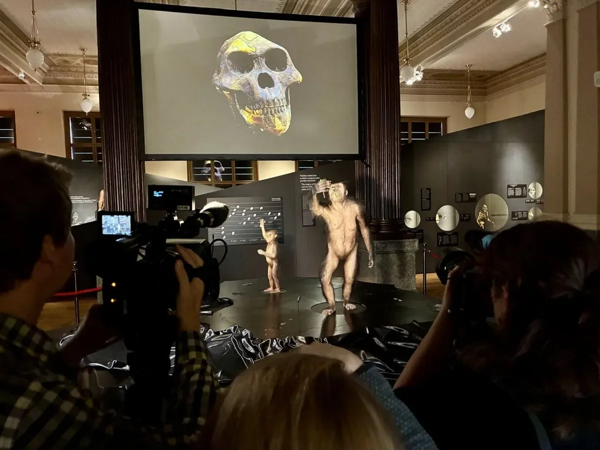 National Museum Prague: Exhibition “Lucy and Selam”, Two of the Most Spectacular Fossils in Human History, Opens