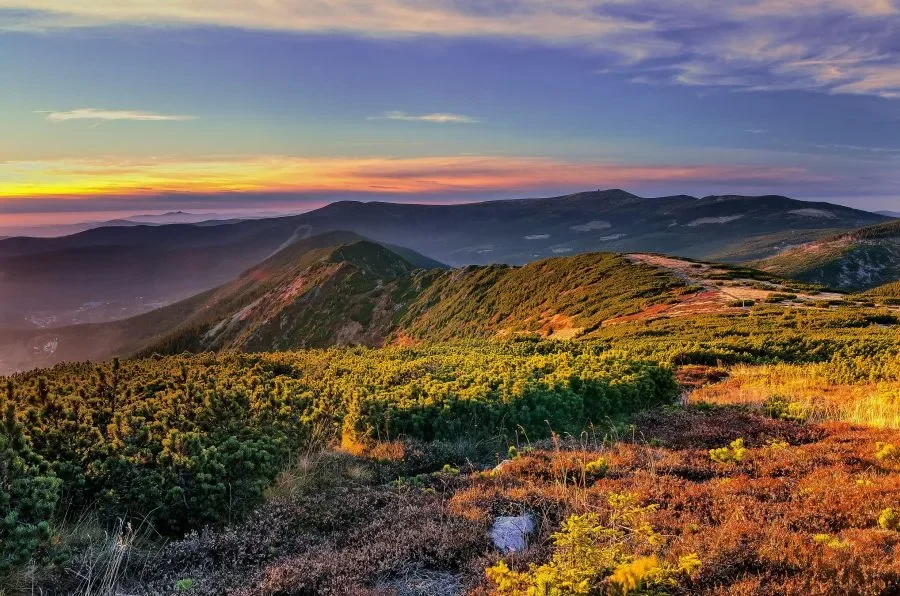 National parks in the Czech Republic have already imposed dozens of fines this year