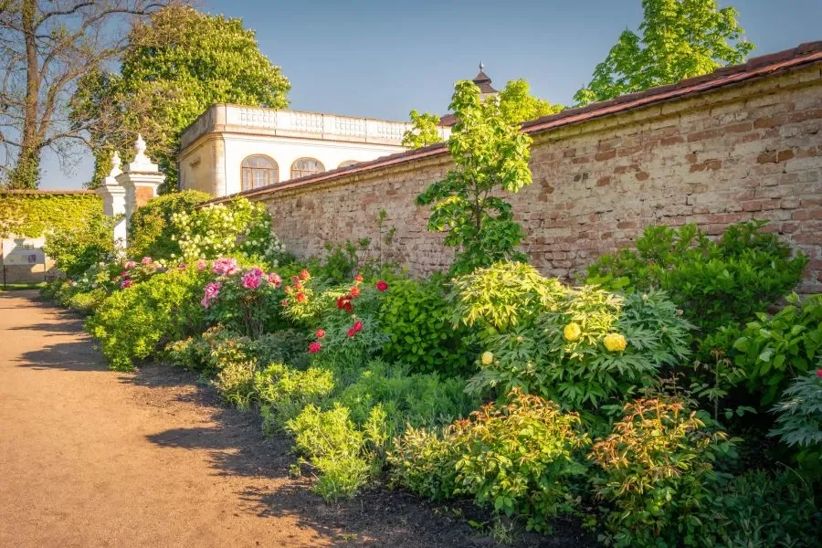 Open Gardens Weekend: Discover Prague’s Green Oases