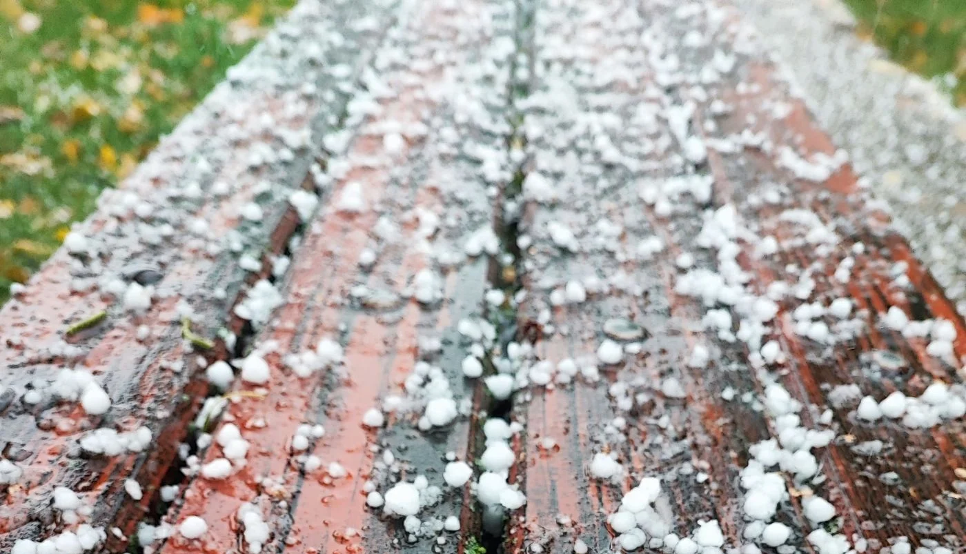 Foto: Kristina Kutleša | Pexels