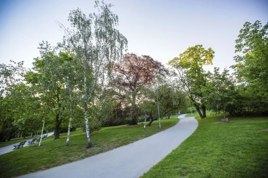 Prague 2 Unveils Future Vision for Riegrovy Sady