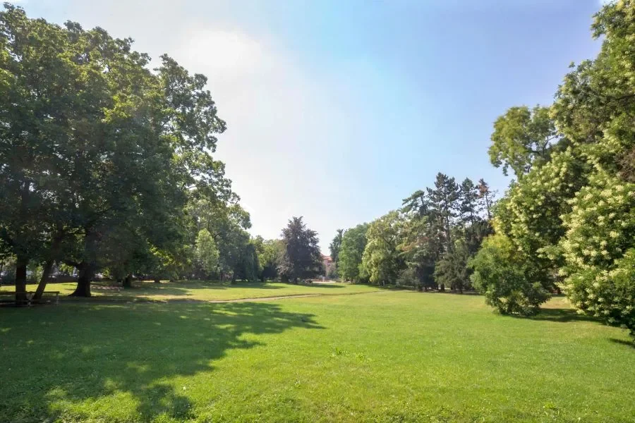 Prague Allocates Almost 43 Million Crowns for Environmental Protection Projects in 2025