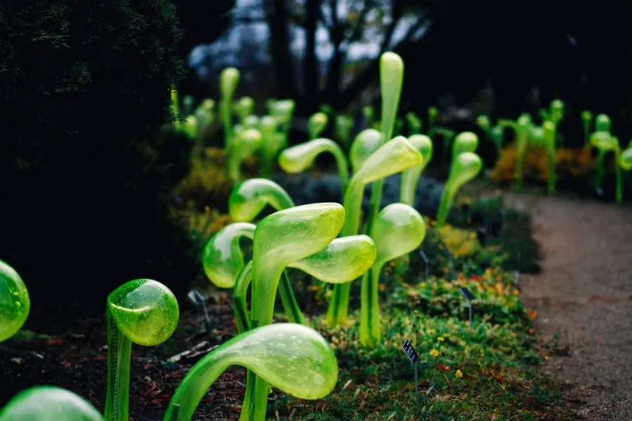 Prague Botanical Garden: Křišťálová zahrada – A Glass Symphony of Light and Music