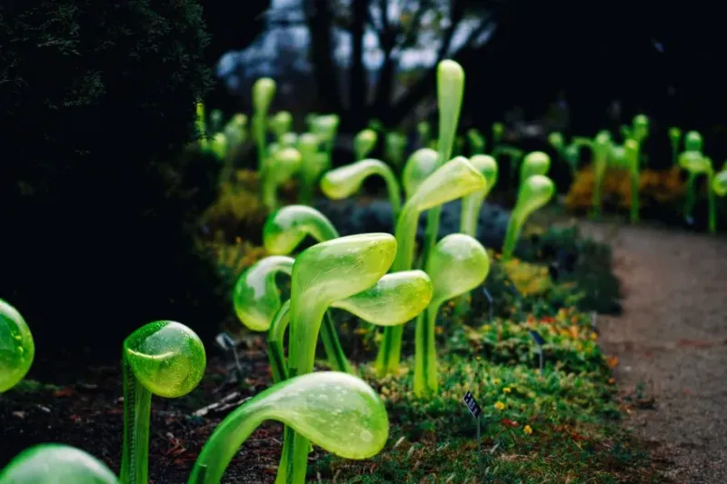 Foto: Botanická zahrada Praha