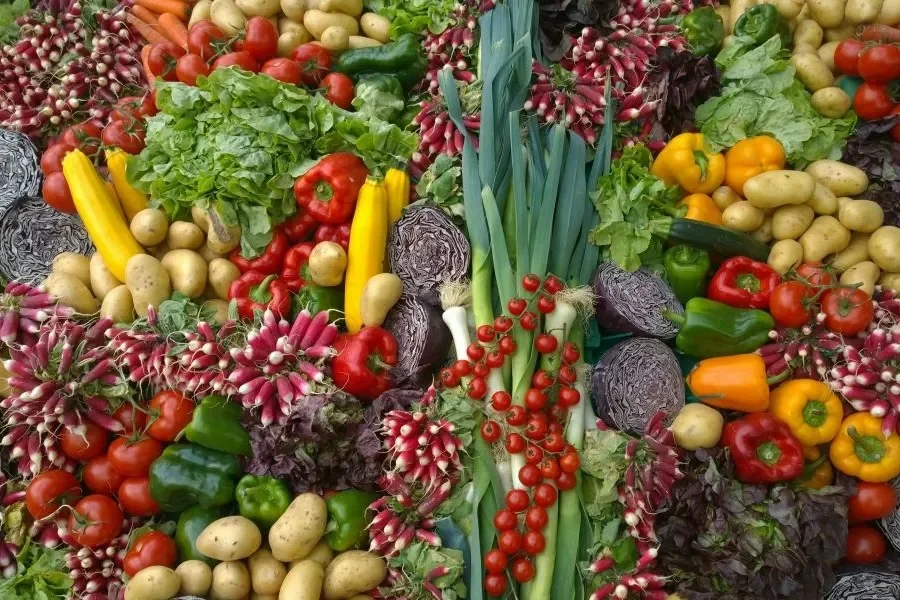 Prague World Vegan Fest: A Celebration of Conscious Living in Prague