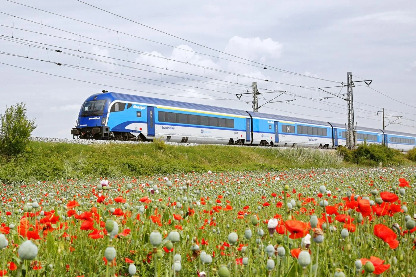 Direct Train Connections from the Czech Republic to More Than 100 European Cities