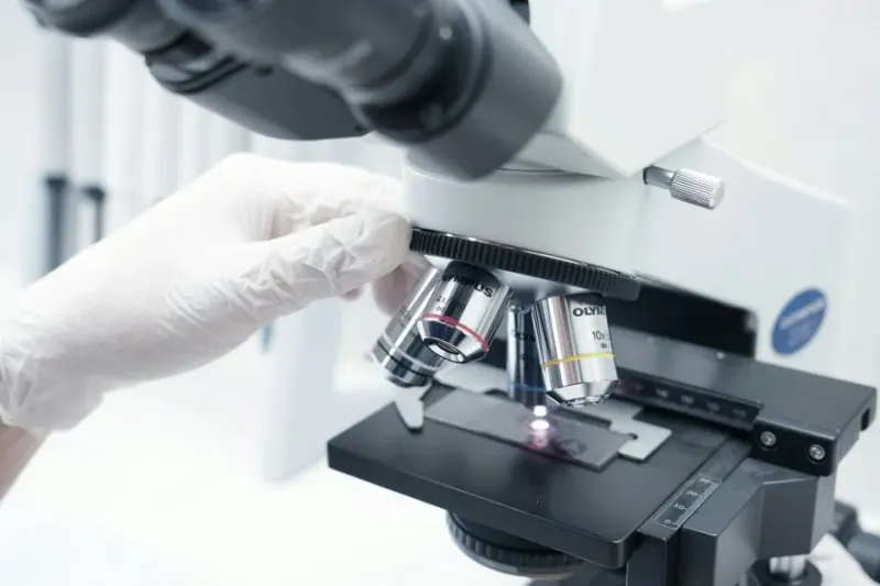 Research and Development: Czech Republic Invests Billions but Lags Behind Europe