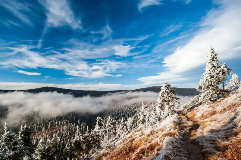 Revitalising Tourism: Jeseníky Region Lures Visitors with Attractive Discounts