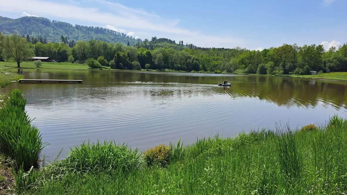Rise in Cyanobacteria Levels Leads to Bathing Bans at Multiple Locations in the Czech Republic