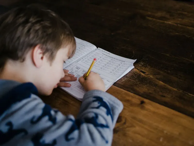 Rising Trend: Czech Parents Embrace Homeschooling and Community Schools