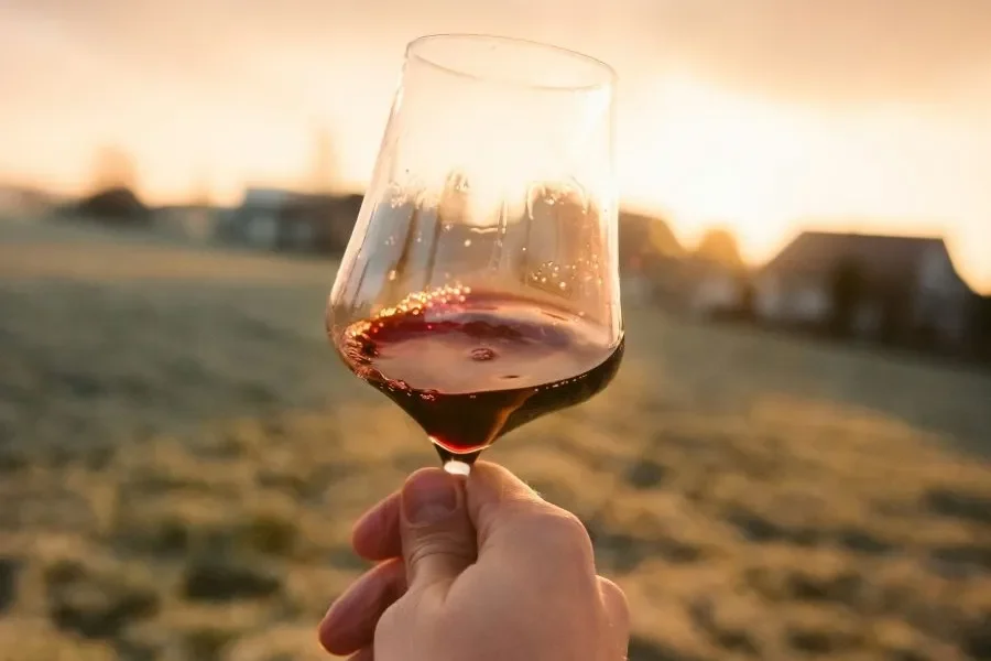 Saint Laurent 2023 from Rájec is the Best Wine of the Bohemian Wine Region