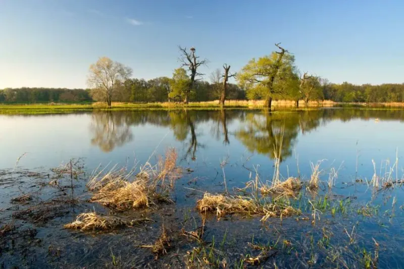 Soutok: Czech Republic’s new landscape conservation area protects the largest floodplain forest in Central Europe