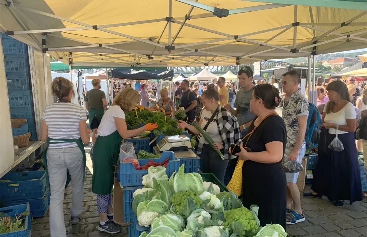 The 5 Best Farmers’ Markets in Prague: Where Freshness and Tradition Come Together