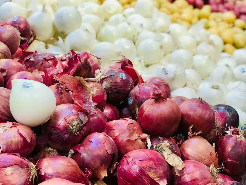 The Czech Republic Is Importing More and More Food from Abroad
