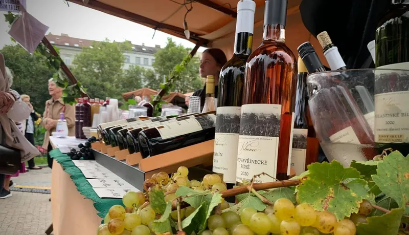 Photo: Vinobraní na Grébovce 2026