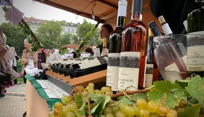 Photo: Vinobraní na Grébovce 2026