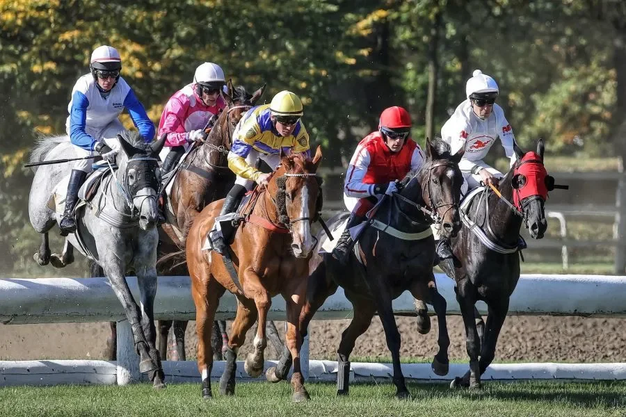 Velká Pardubická 2024: The Legendary Steeplechase Returns